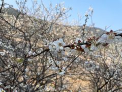 -广州市流溪河国家森林公园