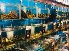 水产区-苏大嘴海鲜牧场(奥林匹克店)