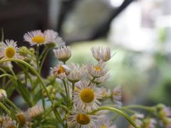 -鱼桥巷·美学川菜