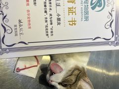 -瑞派旺宝宠物医院·犬猫全科综合·尿道专科(莲兴院)