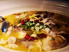 -绿茶餐厅(千岛湖银泰城店)