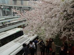 -上海南浦大桥长途旅游客运站