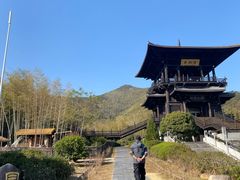 -大唐贡茶院