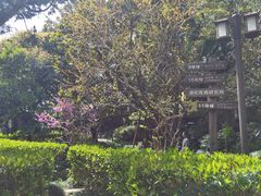 -复旦大学附属华山医院(总院)