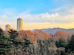 -山东大学(千佛山校区)