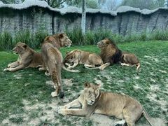 -北京野生动物园