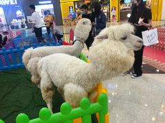 -万达广场(沈阳铁西店)