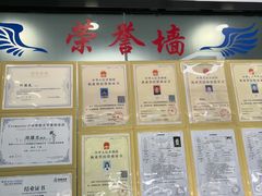 -博特宠物医院24h犬猫全科.骨科·异宠