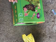 -马陆小张葡萄园农家乐