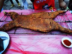 -三岔湖高家庄农家乐烤全羊柴火鸡翘壳鱼(三岔湖店)