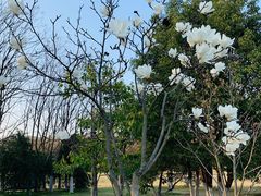 -钟山体育运动公园