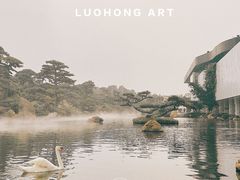 -罗红摄影艺术馆