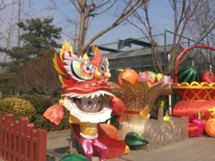 -南宫五洲植物乐园