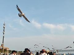 -星海广场