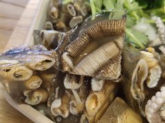 土笋冻-铭聚章鱼土笋冻(松柏店)