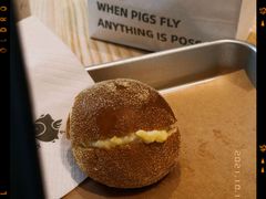 -WHEN PIGS FLY当猪飞
