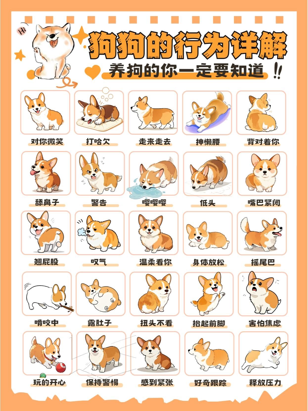 一张图看穿狗狗小心思,太绝啦😜