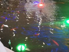 -碧中海汤泉汗蒸酒店