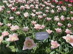 -国家植物园南园