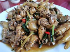 -生态苑农庄(十里画廊遇龙河店)