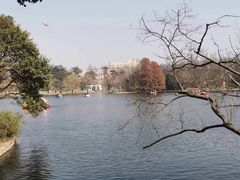 -上海共青森林公园