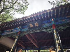 -黄帝陵