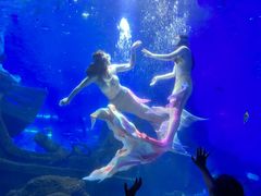 -江和美海洋公园
