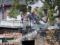 -新建村梅花