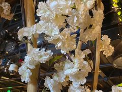 -胡桃里音乐酒馆(石家庄店)
