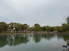 -苏州金鸡湖大酒店