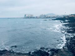 -龙头岩(Dragon Head Rock)