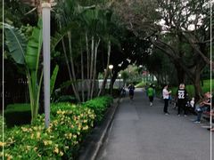 -纪念孙中山市政公园