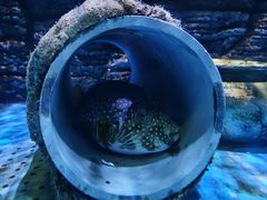 -厦门海底世界