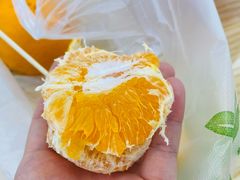 -湖南大学-第5食堂