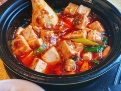 陈麻婆豆腐-陈麻婆豆腐(春熙店)