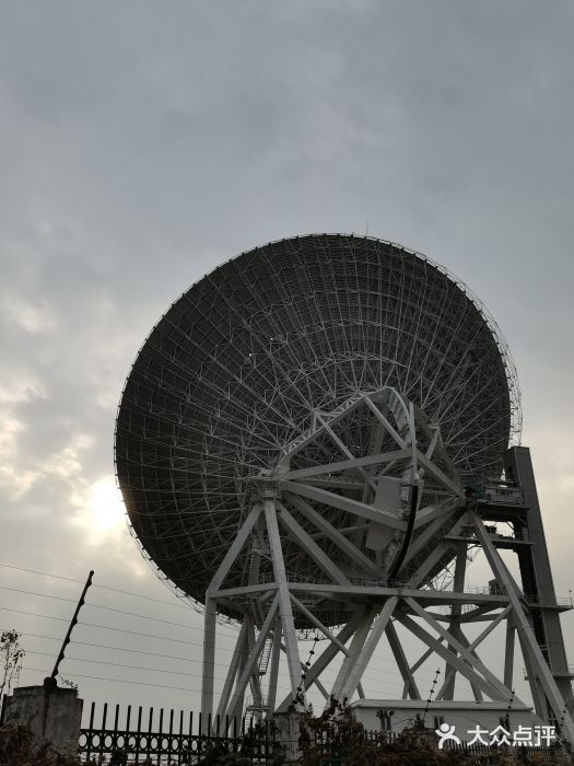 上海佘山国家森林公园天马山园图片