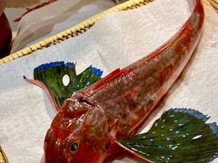 -镹·鱼料理  国产鱼使用店