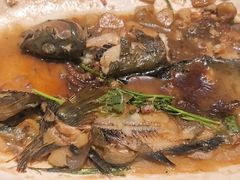 -板凳烧烤(东关街店)