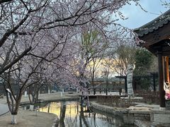 -春风习习