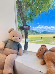 -纳帕海依拉草原