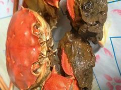 android_upload_pic-白洋淀锅里口灶台鱼