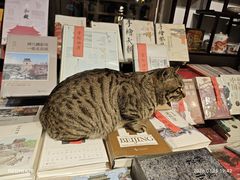 -正阳书局(西四南大街店)