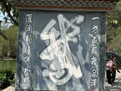 -靖西鹅泉风景区