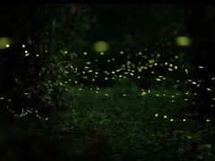 -华南国家植物园-售票处
