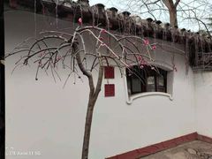 -西苑公园