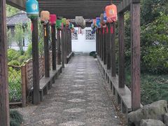 -上海醉白池公园