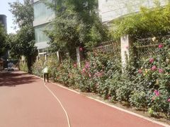 -雁滩公园