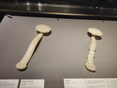 -东京国立博物馆