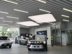 -上海浦东smart汽车全功能店(金桥店)