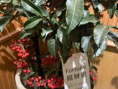 -云之南(八里庄店)